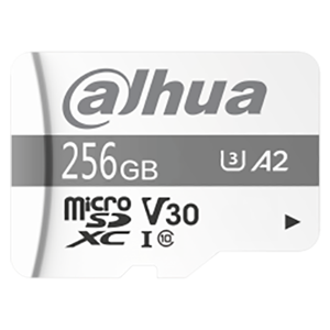 Dahua TF-P100/256G