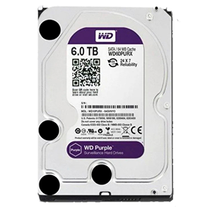 WD 6TB ( WD63PURU-78 )